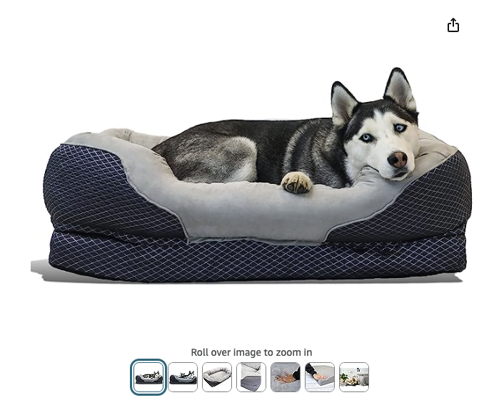How to Choose the Right Dog Bed for a Pet with Arthritis Fundraising For Pet Surgery California